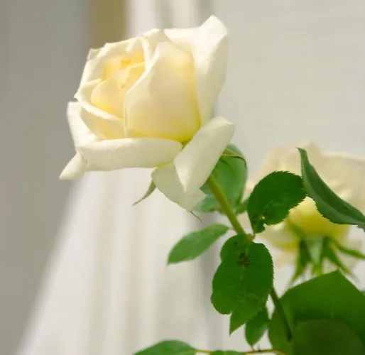 Appartamento Monuth Bad Hofgastein